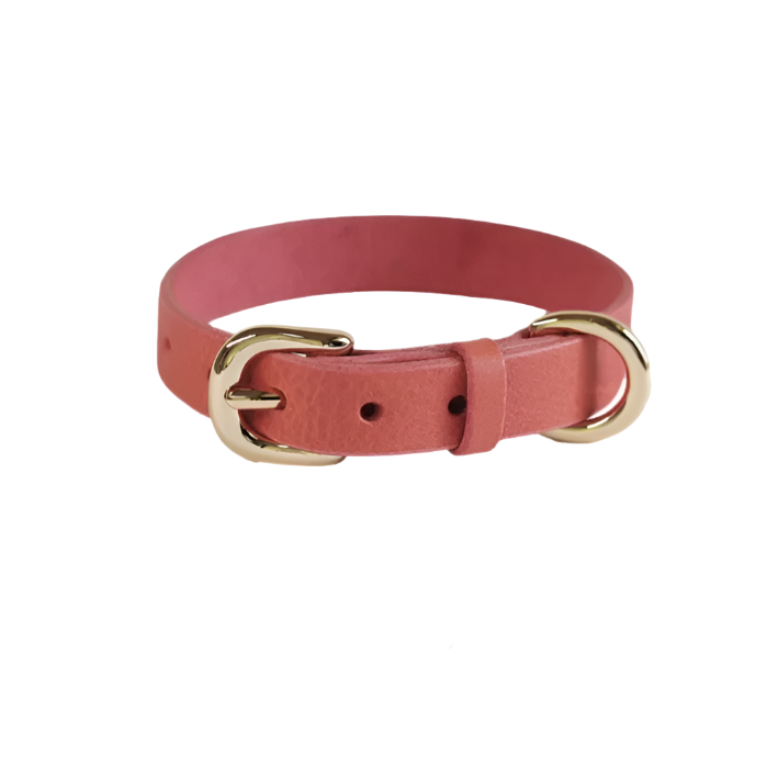 MiniGrace Collar™