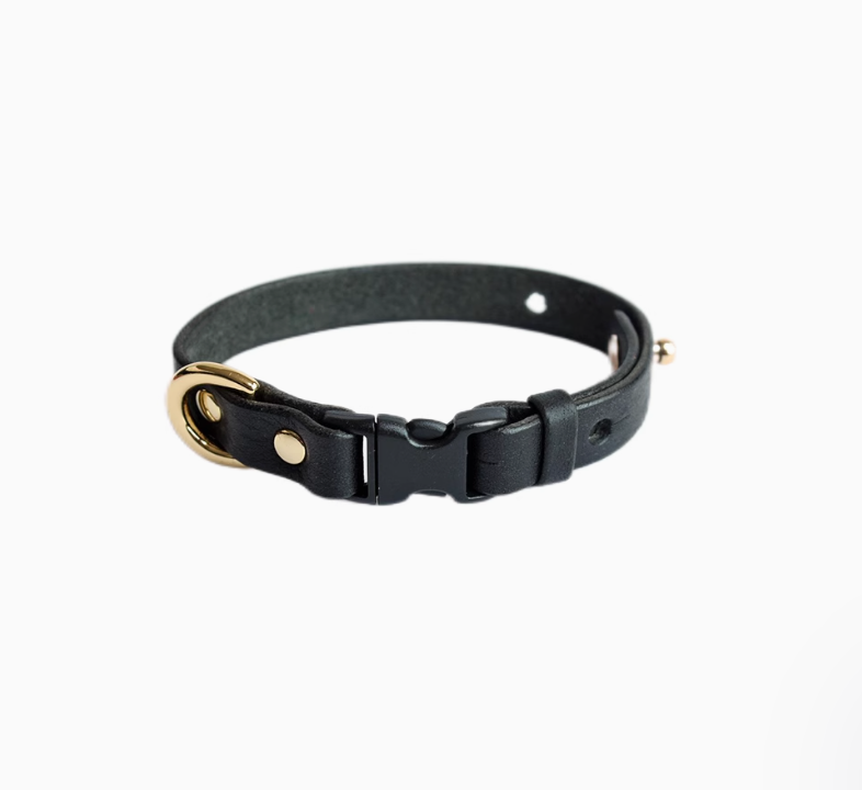 Quick-Release Buckle Collar(Puppies)