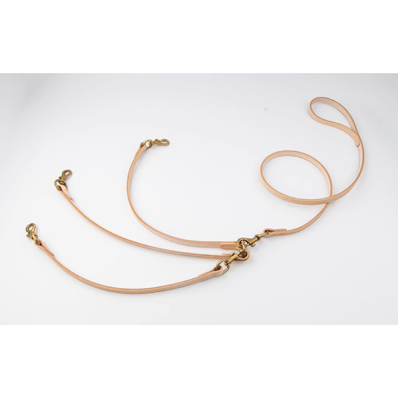 MultiTether Leash