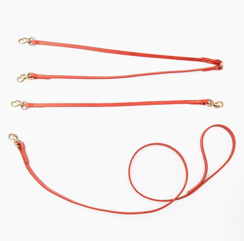 MultiTether Leash