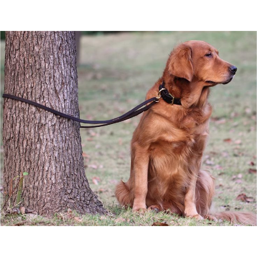 Ratafia™  Leash