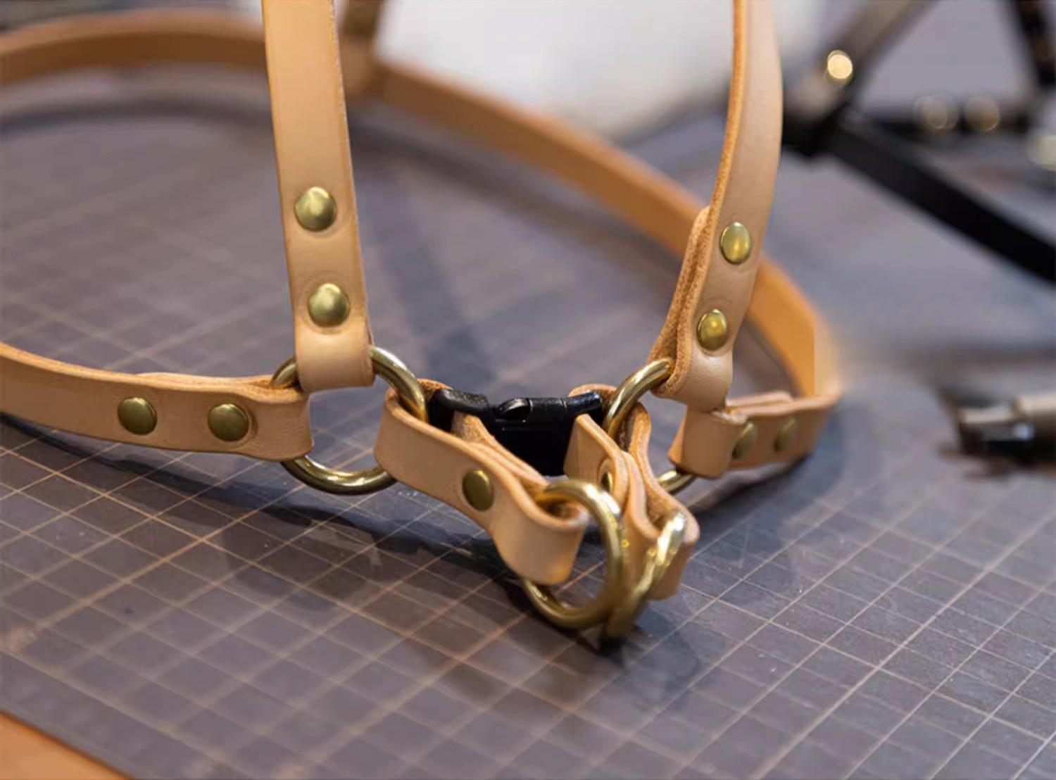 Leather Harness™