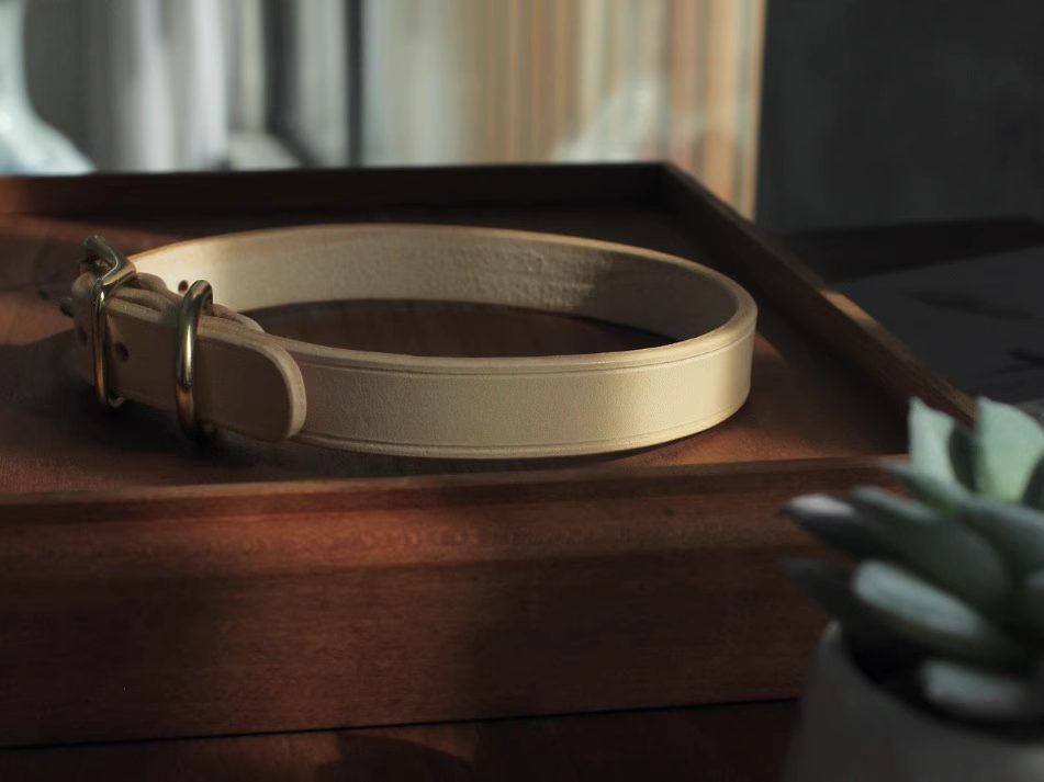 Classic Leather Collar