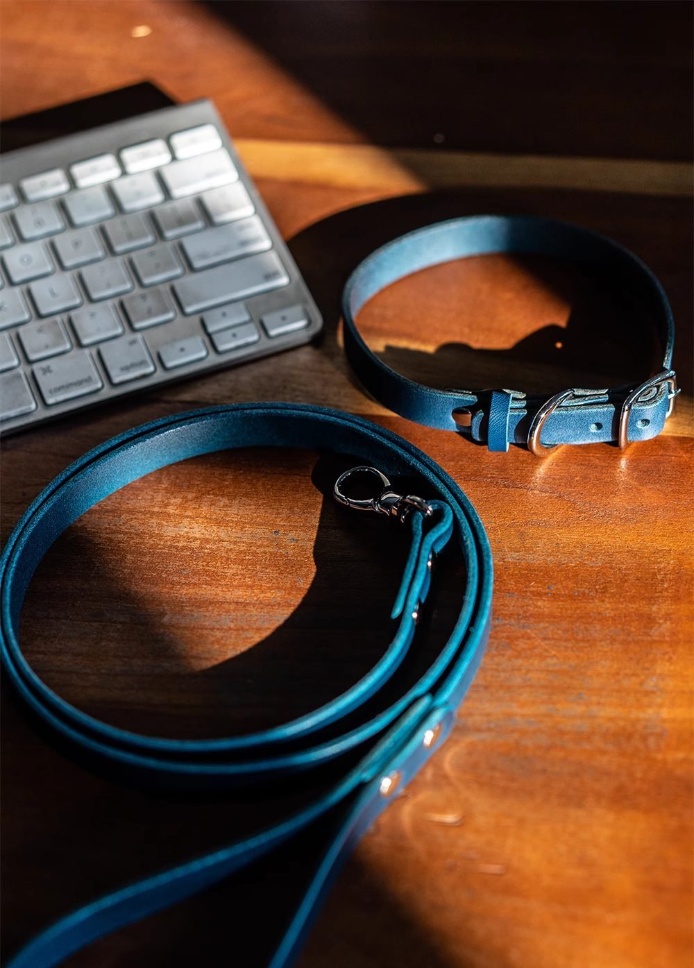 rainbow leash - Petscabinet