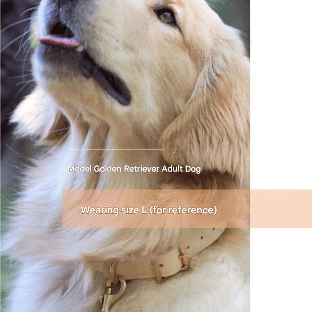 Classic Handcraft Leather Collar - Petscabinet
