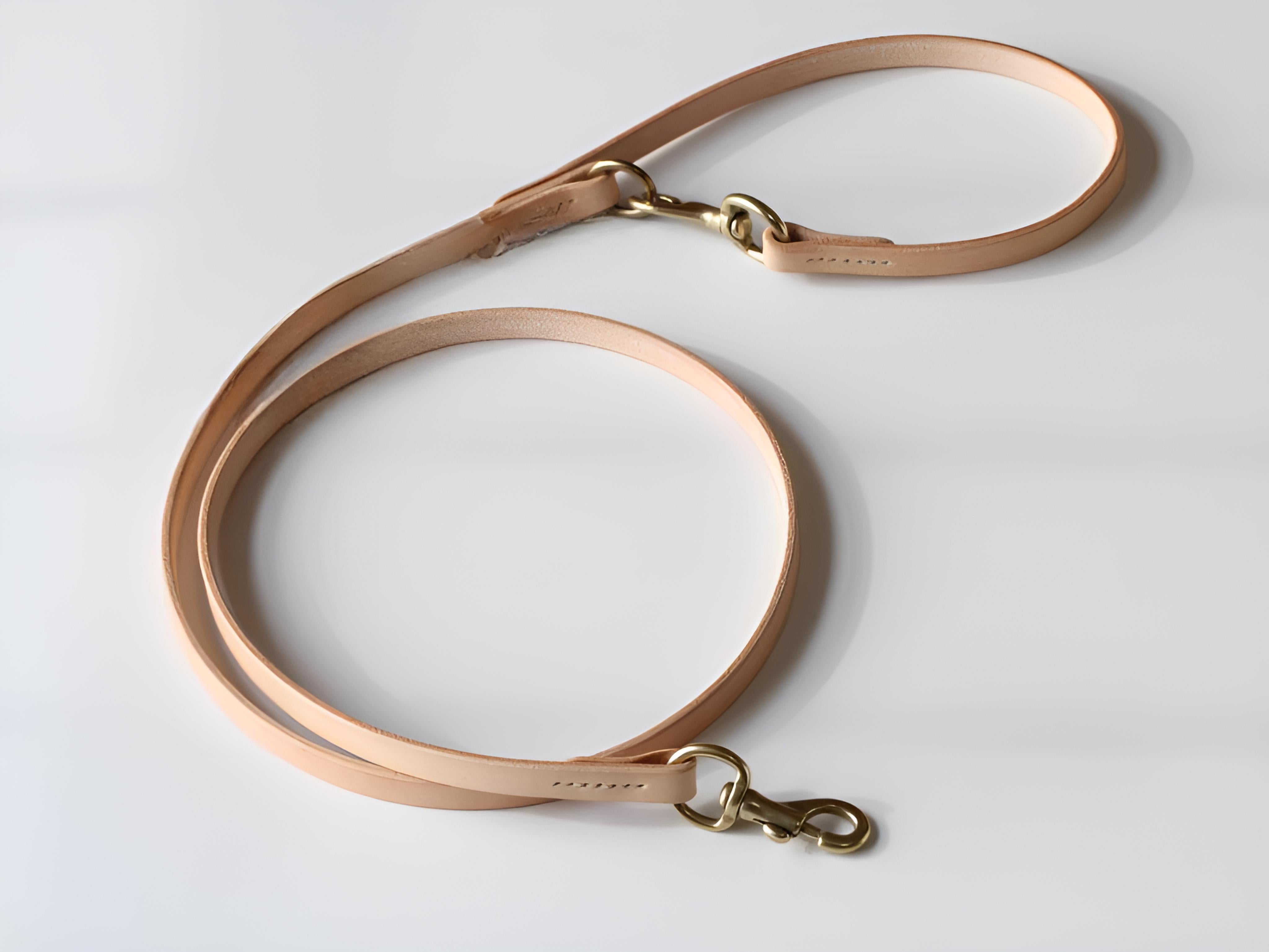 Classic Leather Leash™ (Clip Handle)