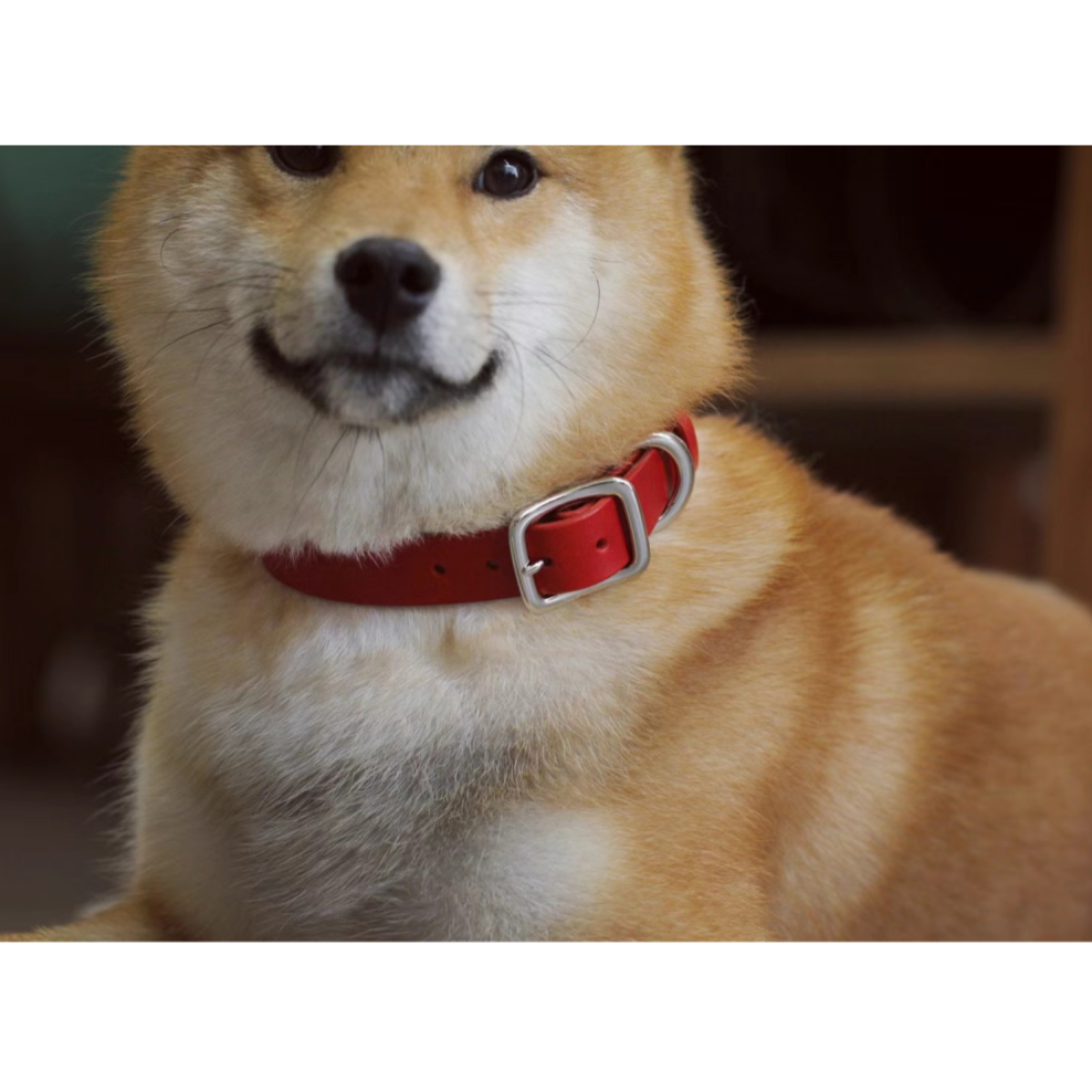 Harmony™  Collar
