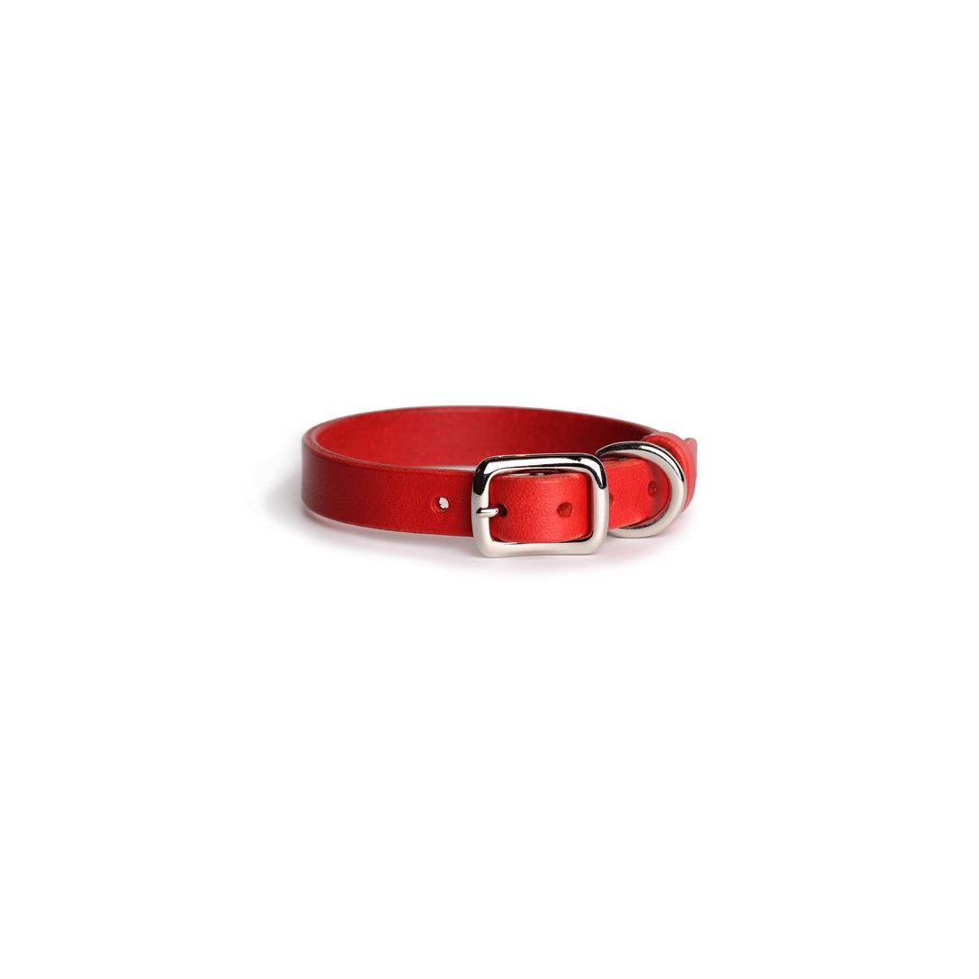 Harmony™  Collar