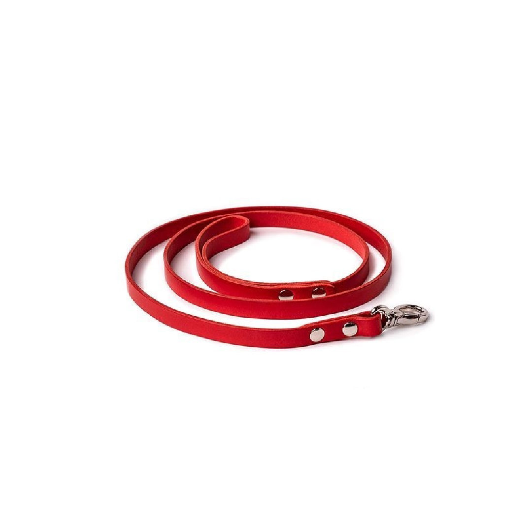 Harmony™ Leash