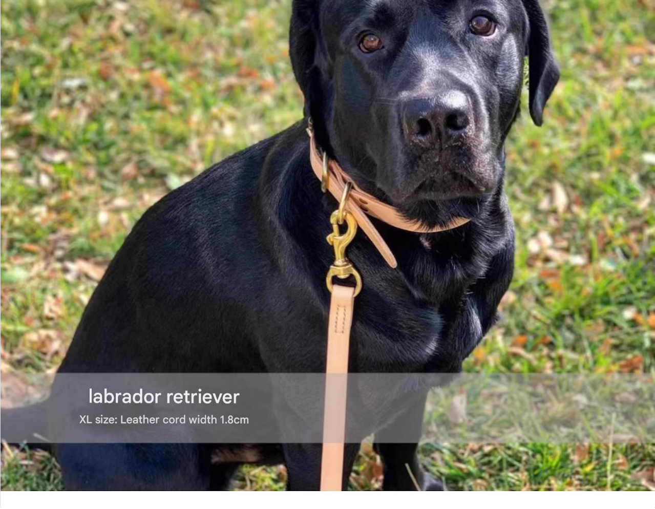 Classic Leather Leash™